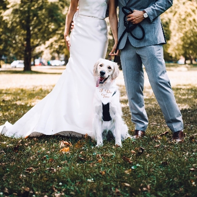 Wedding News: How to make your wedding day dog-friendly