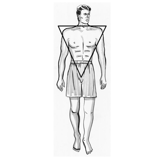illustration of a man with a inverted triangle body shape